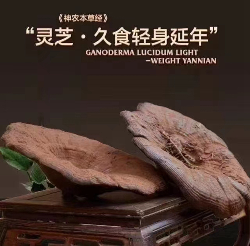 WechatIMG1628.jpg
