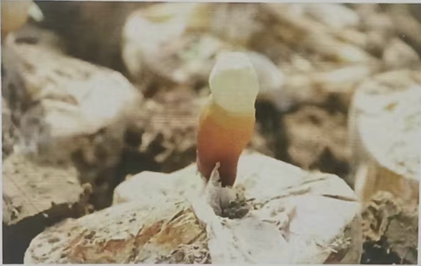 WechatIMG1094.jpg
